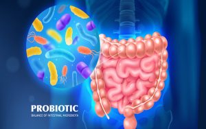 Mehr über den Artikel erfahren Probiotika vs. Präbiotika: Was ist der Unterschied und warum sind beide wichtig?