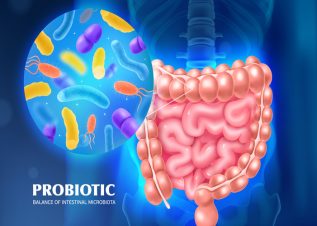 Probiotika vs. Präbiotika: Was ist der Unterschied und warum sind beide wichtig?